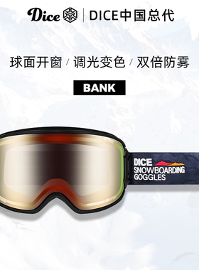 日本进口DICE滑雪镜球面开窗防划伤调光变色2倍防雾26新款BK0672