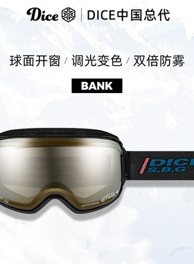 日本进口DICE滑雪镜球面开窗防划伤调光变色2倍防雾26新款BK0696