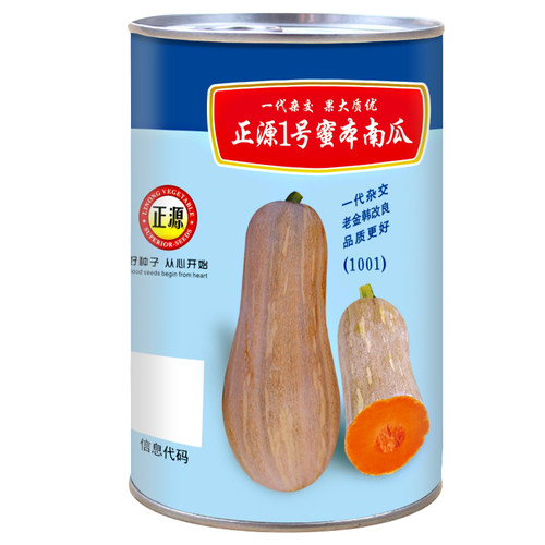 蔬菜种子高产四季蜜本南瓜