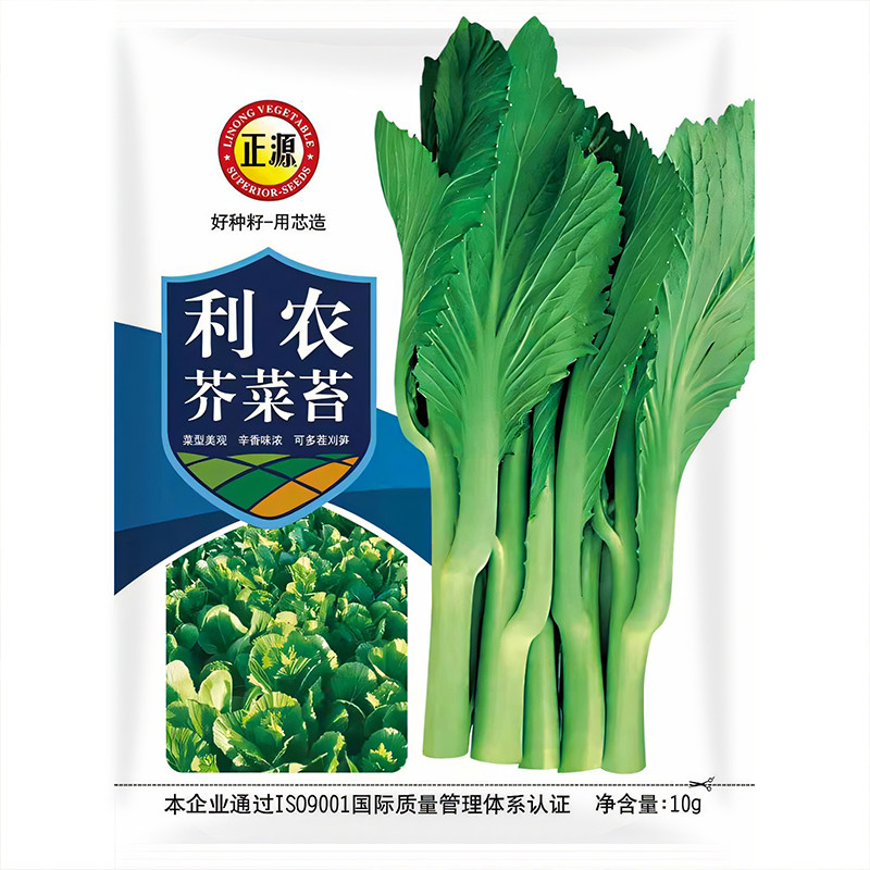 和利农正源芥菜苔种子甜脆芥菜薹种籽菜芯菜心春季秋季蔬菜孑菜籽图片