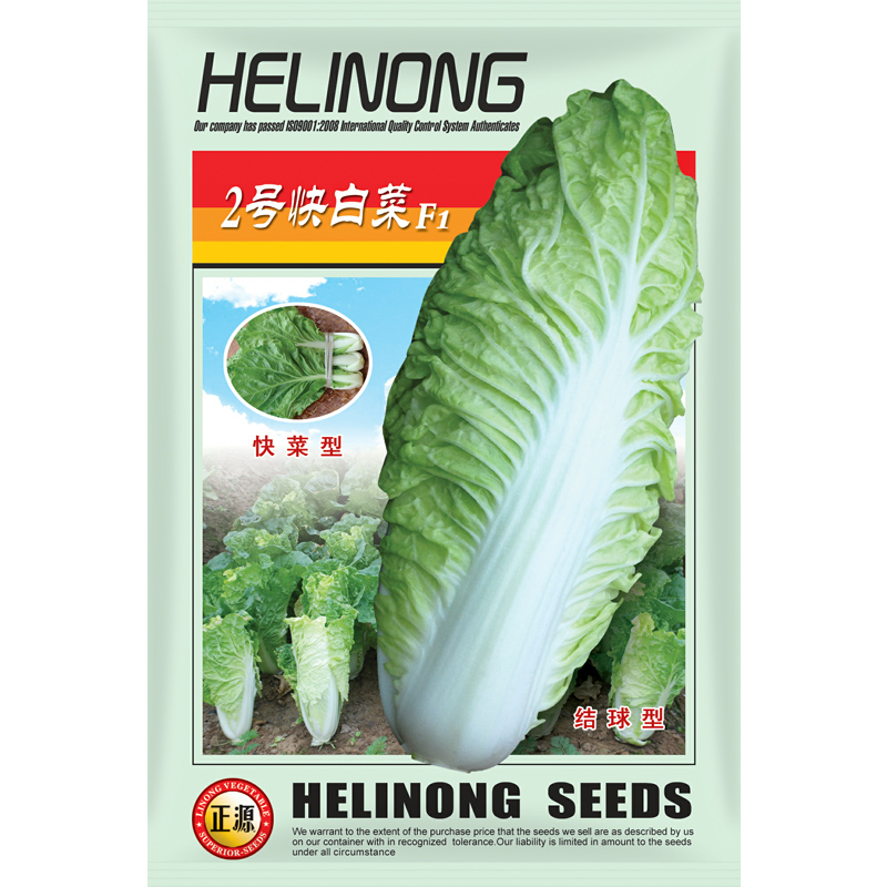 利农快白菜种子四季蔬菜图片