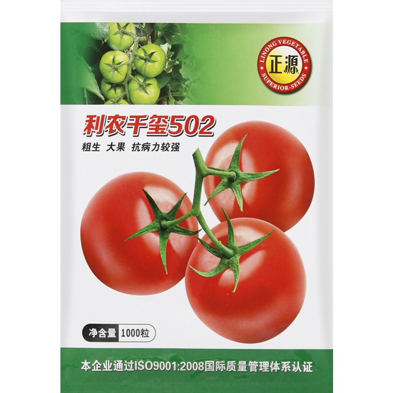 红果西红柿种籽四季盆栽蔬菜种孑