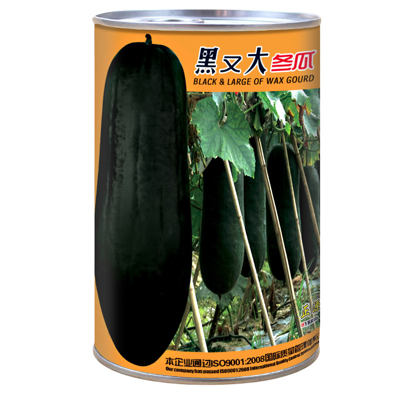 和利农 正源黑又大广东黑皮冬瓜种子巨型大冬瓜种籽东瓜蔬菜种孑