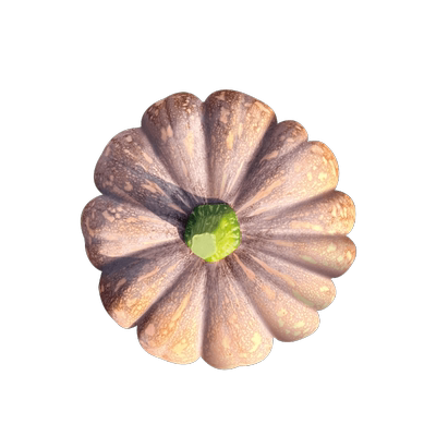 磨盘扁圆南瓜种子香甜糯面