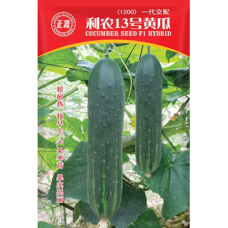 和利农正源13号黄瓜种子图片
