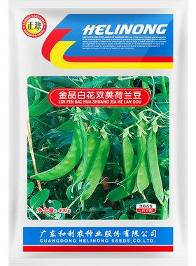 蔬菜种子高产四季荷兰豆
