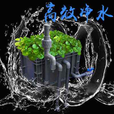 鱼缸过滤器沼泽过滤乌龟缸鱼菜共生系统diy周转过滤箱养龟箱鱼池