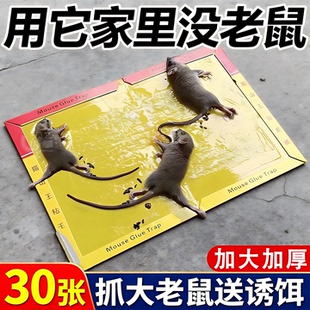 超强力粘鼠板抓老鼠大号加厚强力粘鼠捉地鼠家用黑色老鼠贴强力粘