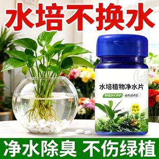 水培植物净水片鲜花花卉保鲜剂不臭水水培专用除臭片净化水质