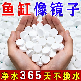 高级净水片鱼缸水族箱净化水浑浊绿水脏除腥臭味过滤免换水净水王