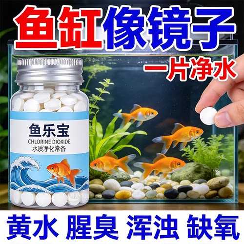 鱼乐宝居家养鱼换水保护观赏鱼鳃