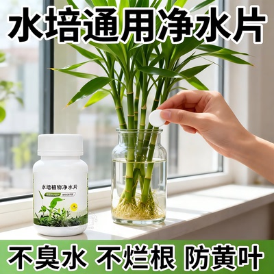 水培净水片除异味防发臭护根系