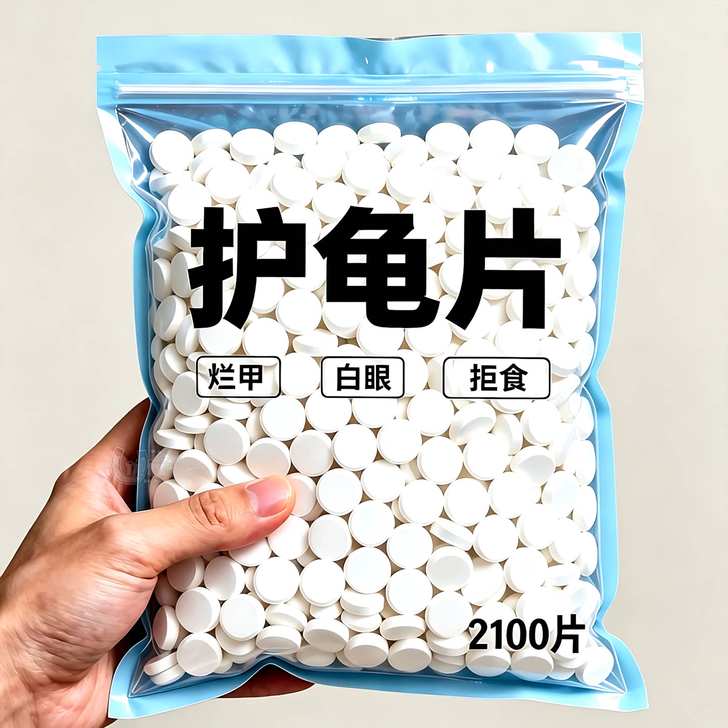 护龟片各类观赏龟日常饲养护片