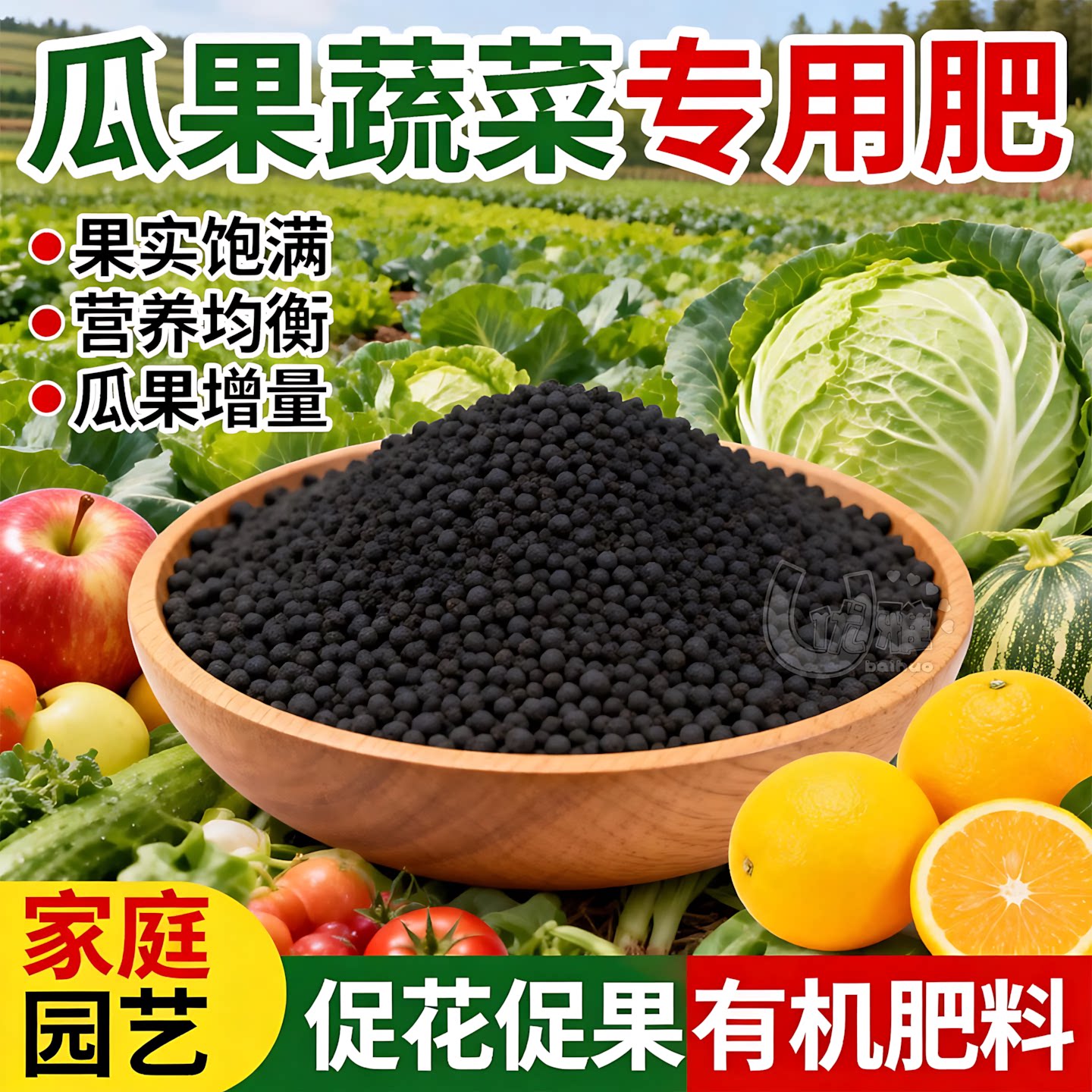蔬菜营养液生根壮苗叶片绿