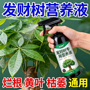 【拯救绿植】发财树营养液专用肥烂根急救黄叶盆栽养花肥料救植物