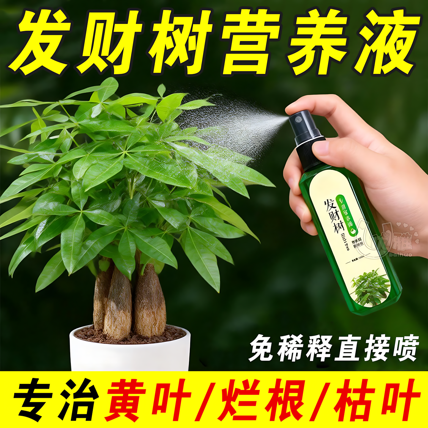 【黄叶反绿】发财树专用营养液防黄叶烂根壮苗根免稀释专用肥,鲜花速递/花卉仿真/绿植园艺,家庭园艺肥料,淘宝优惠券,粉丝福利购,淘宝优惠卷