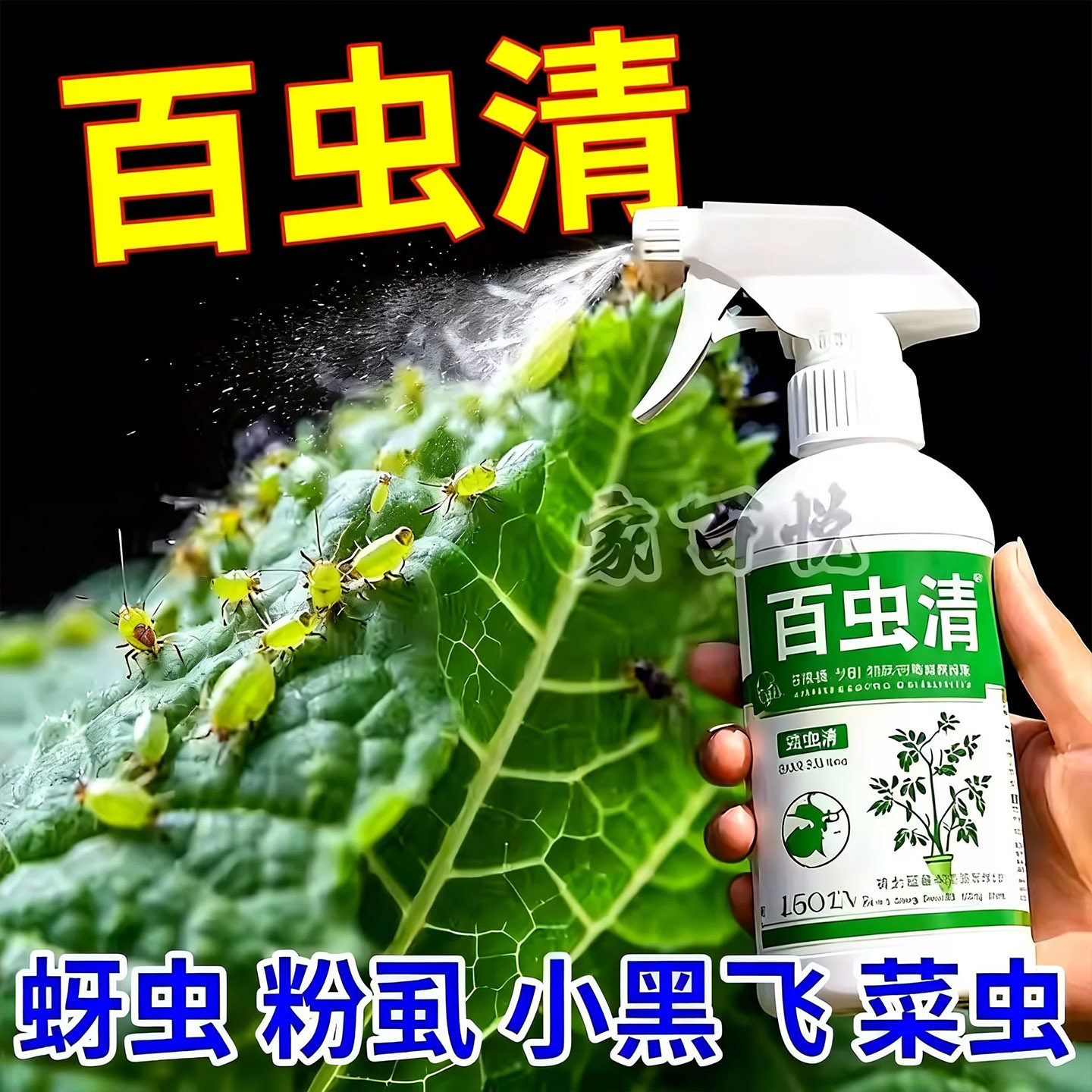 花卉绿植专用杀虫剂室内盆栽月季瓜果蔬菜园艺蚧壳蚜虫药非百虫清,鲜花速递/花卉仿真/绿植园艺,家庭园艺肥料,淘宝优惠券,粉丝福利购,淘宝优惠卷