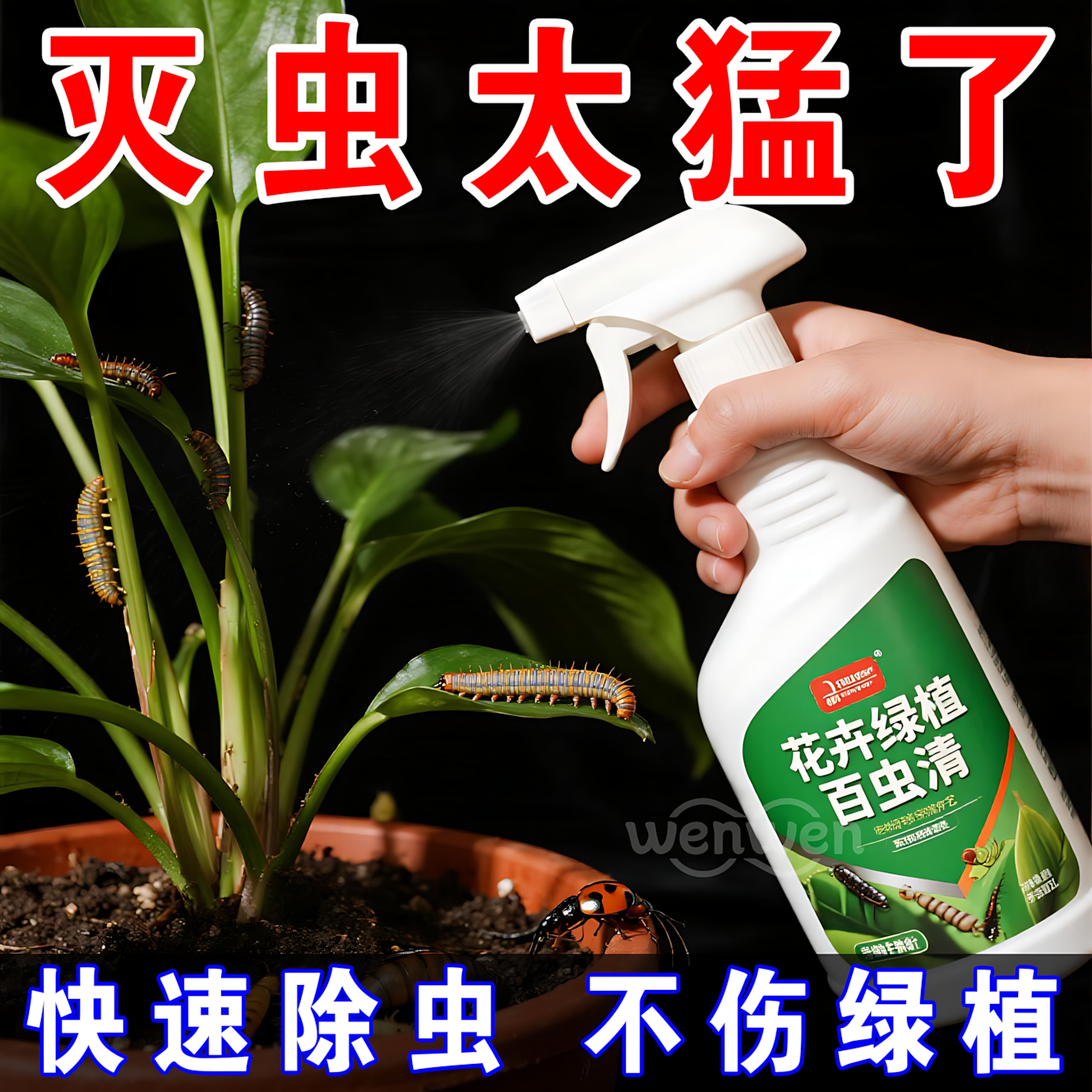 百虫清花卉绿植蔬菜通用多肉除虫剂盆栽月季蚜虫红蜘蛛家用蚧壳虫