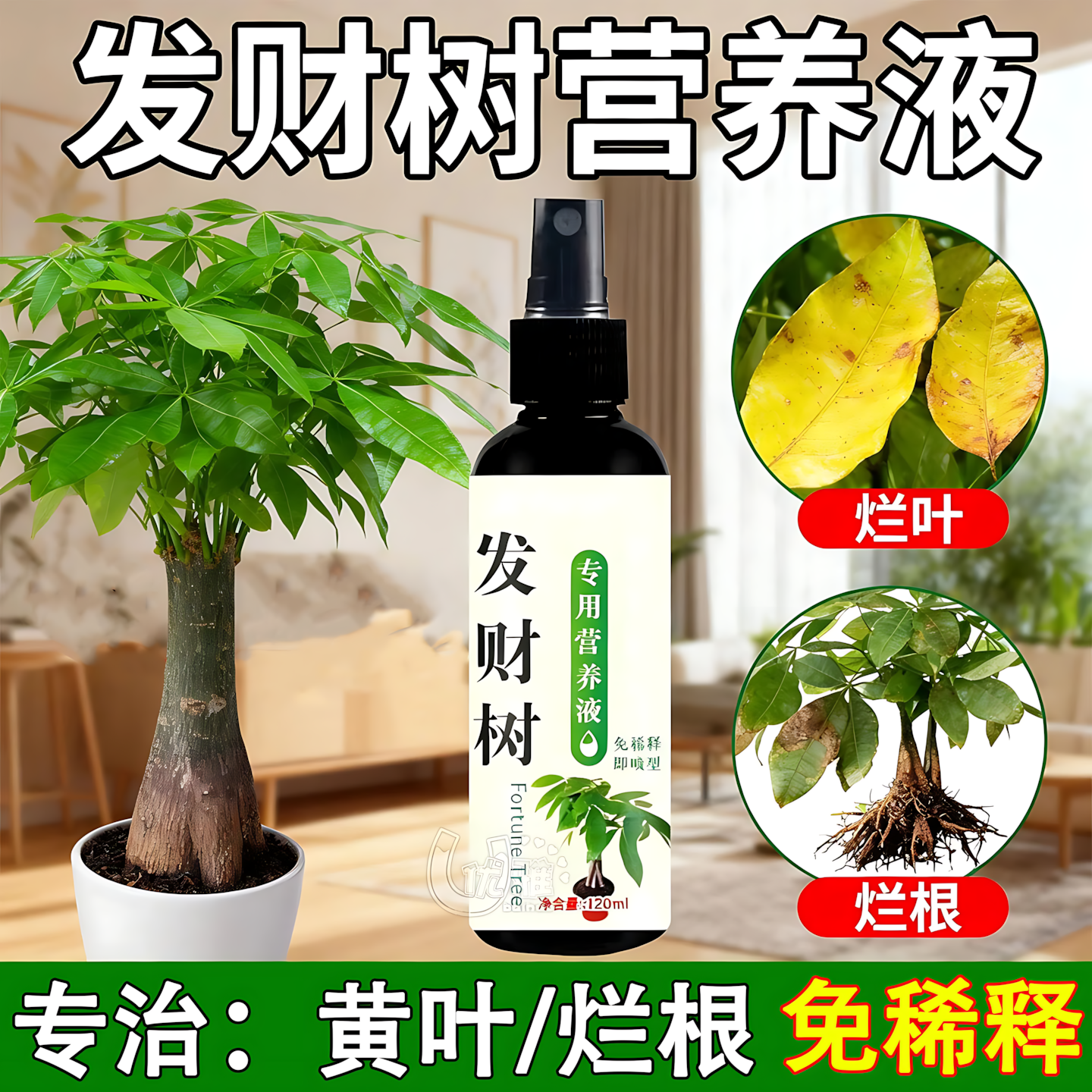 发财树专用营养液免稀释黄叶枯叶烂根专用复活液药叶绿素叶面肥料