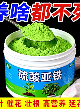 硫酸亚铁肥栀子花茉莉花富贵竹预防黄叶促生根通用型养花水溶肥料