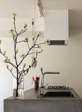 玉兰花紫白鲜切花花材小众氛围感花苞发货日式侘寂风装饰氛围插花