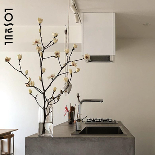 玉兰花鲜花紫白鲜切花材小众客厅带花苞发货年宵花侘寂风装饰插花