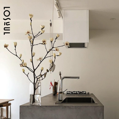 玉兰花鲜花紫白鲜切枝小众带花苞发货年宵花侘寂风插花餐桌花摆花