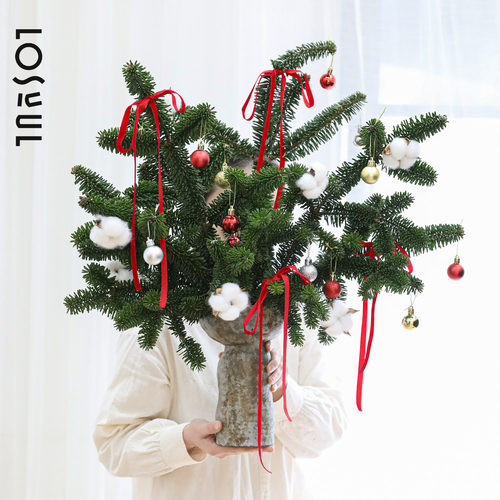 诺贝松真圣诞树装饰圣诞节花束新年礼物水培桌面鲜花家用插花混搭