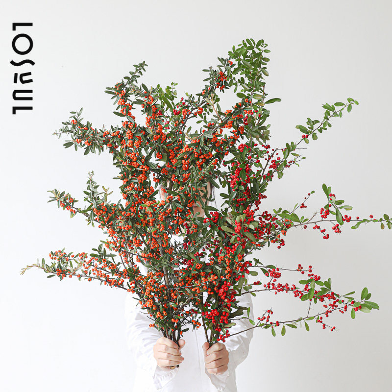火把果鲜切火棘果带刺火野奢小众红色鲜花观果冬青家用水培高级感,鲜花速递/花卉仿真/绿植园艺,花材,淘宝优惠券,粉丝福利购,淘宝优惠卷