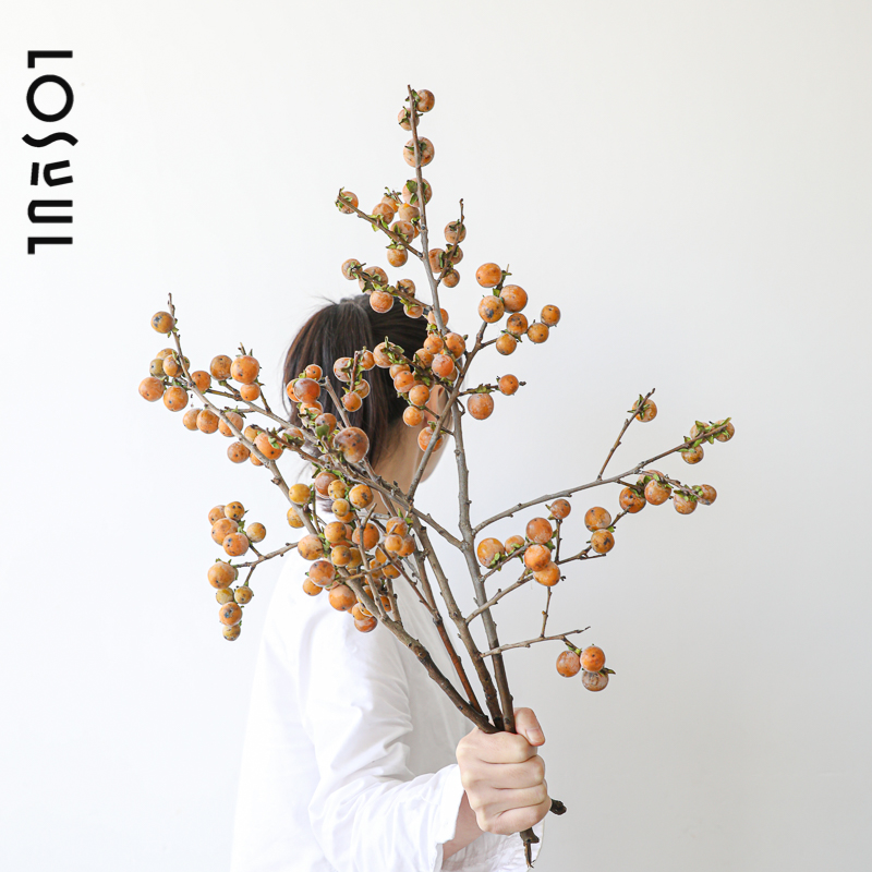 小柿子鲜切花观果小众ins风水培