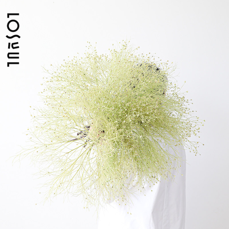 柔丝鲜切花小众ins野奢氛围感垂吊插花花材少女感花束可做干花