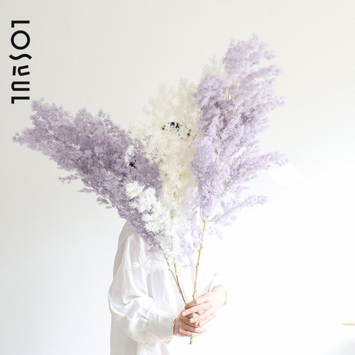 蓬莱松干花永生花花束装饰