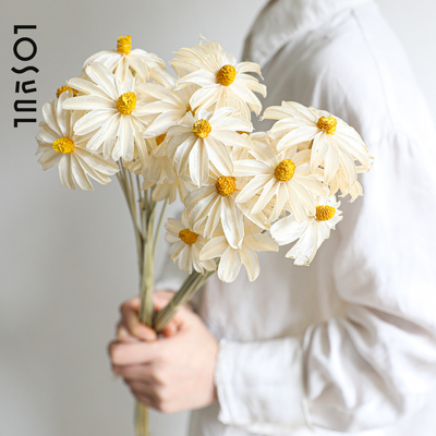 木槿花文心兰干花小雏菊小滨菊ins家居装饰干花永生花装饰花束