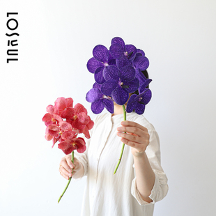 进口胡姬兰鲜切鲜花少见ins小众鲜切花艺家庭花艺装 饰一周一花