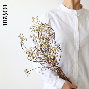 乌桕天然干花原生ins风各类花束室内桌面装饰摆设摆件道具