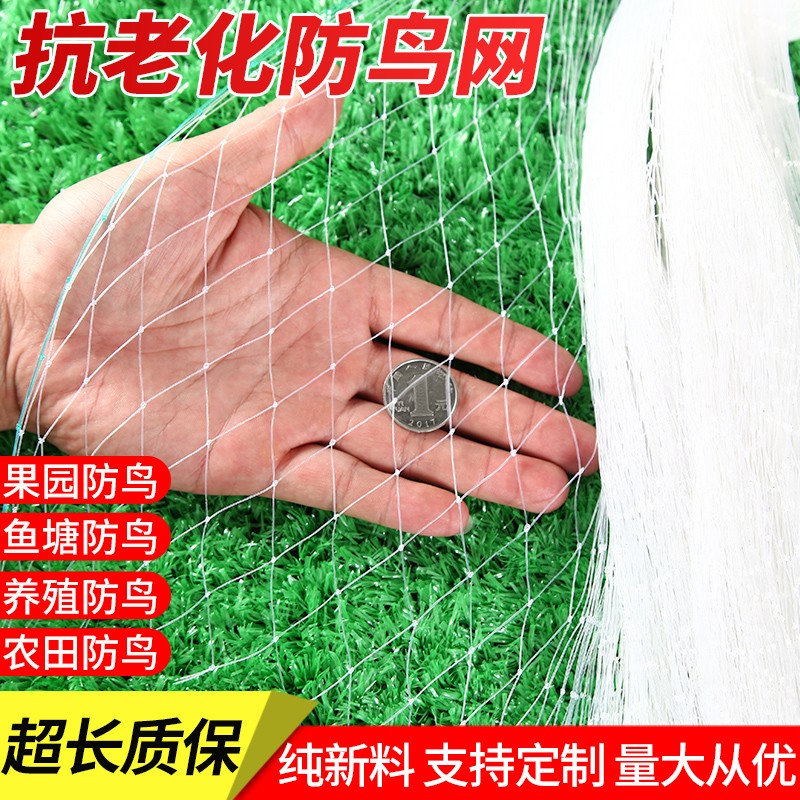 果园防鸟用网果树樱桃梨树葡萄园防鸟网罩养殖鱼塘泥鳅池防鸟天网