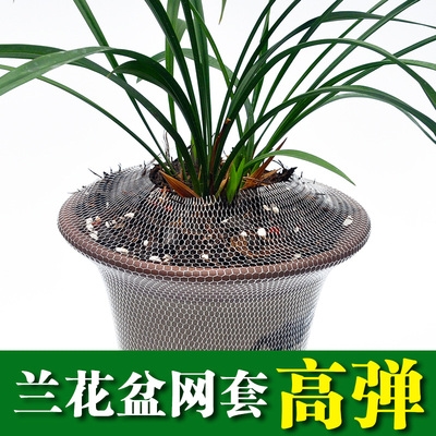 1网套花盆大口径网套砂套花盆塑料兰网套高花盆网防护兰紫兰弹花