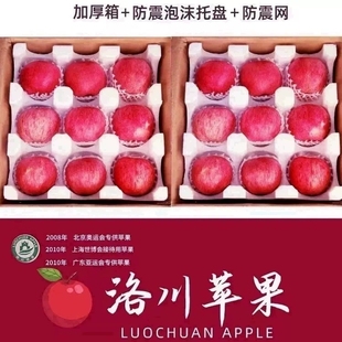 新果 产地直发 包邮 正宗陕西洛川红富士冰糖心苹果12枚礼盒顺丰