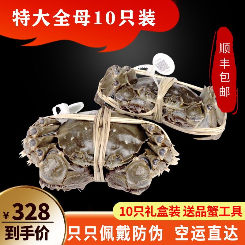 【活蟹】清水大闸蟹10只全母特大鲜活现货螃蟹礼盒装阳澄湖镇属于什么档次？