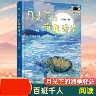 月光下的海龟驿站 张剑彬著 小学生课外阅读书籍儿童文学读物X