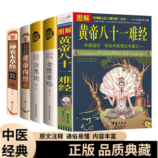 正版 中医四大名著神农本草经伤寒论金匮要略黄帝81难经黄帝内经