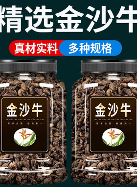 广西野生金沙牛500g克官方旗舰店正品水洗无沙蚁狮地牯牛无杂质
