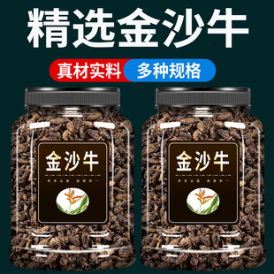 广西野生金沙牛500g克官方旗舰店正品水洗无沙蚁狮地牯牛无杂质