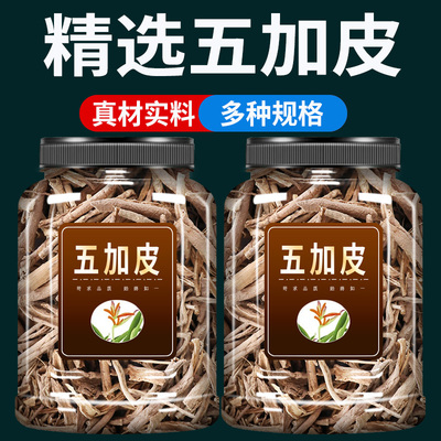 五加皮中药材500g克官方旗舰店南五加皮正品五谷皮干五加皮根片