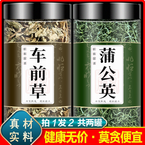蒲公英车前草茶泡水喝中药材野生蒲公英加车前草和鱼腥星草袋泡茶