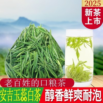 高山玉蕊白茶2025新茶高山安吉绿茶雨前茶叶250g茶农直销白茶安吉