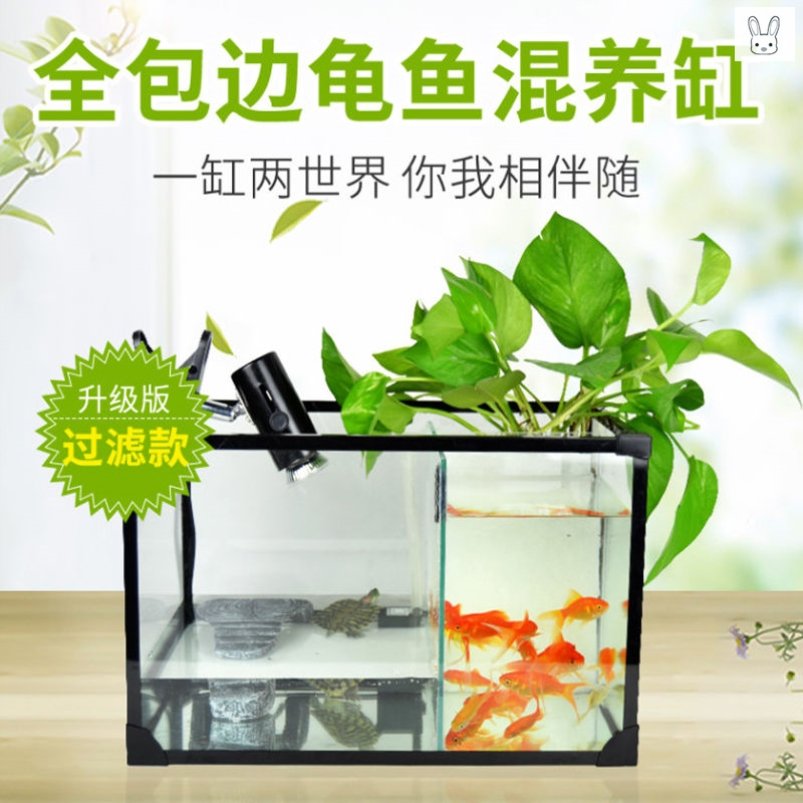乌龟和鱼一体缸鱼龟缸混养缸鱼缸龟缸二合一带过滤观赏鱼水陆玻璃