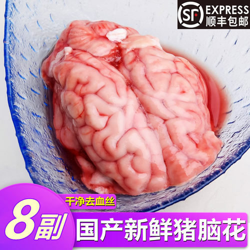 新鲜猪脑猪脑花火锅烧烤食材