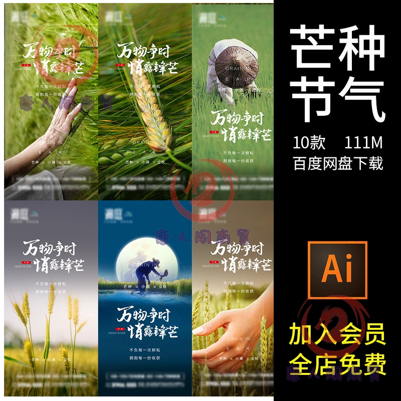 芒种节气24二十四节气夏天夏季夏日6六月你好AI海报设计素材模板