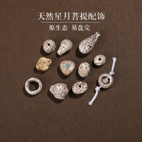 星月菩提阿呆菩提树三通元宝配饰